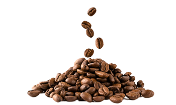 Instantná káva (Coffea arabica L.)