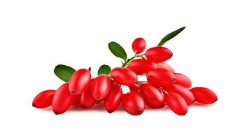 Rebersa ® (extrakt z berberínu)