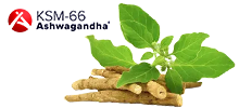 KSM-66 Ašvaganda®