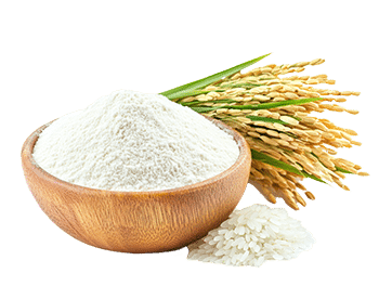 Ryžová múka (Oryza sativa)